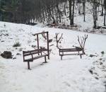 20260131_100001_3_11zon